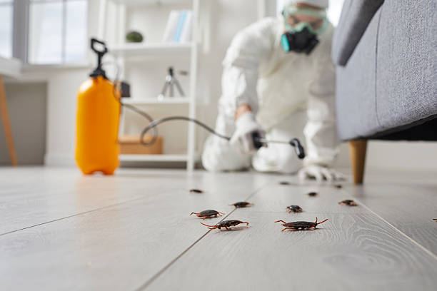 Post-Treatment Bed Bug Interceptor Monitoring in Ocean City